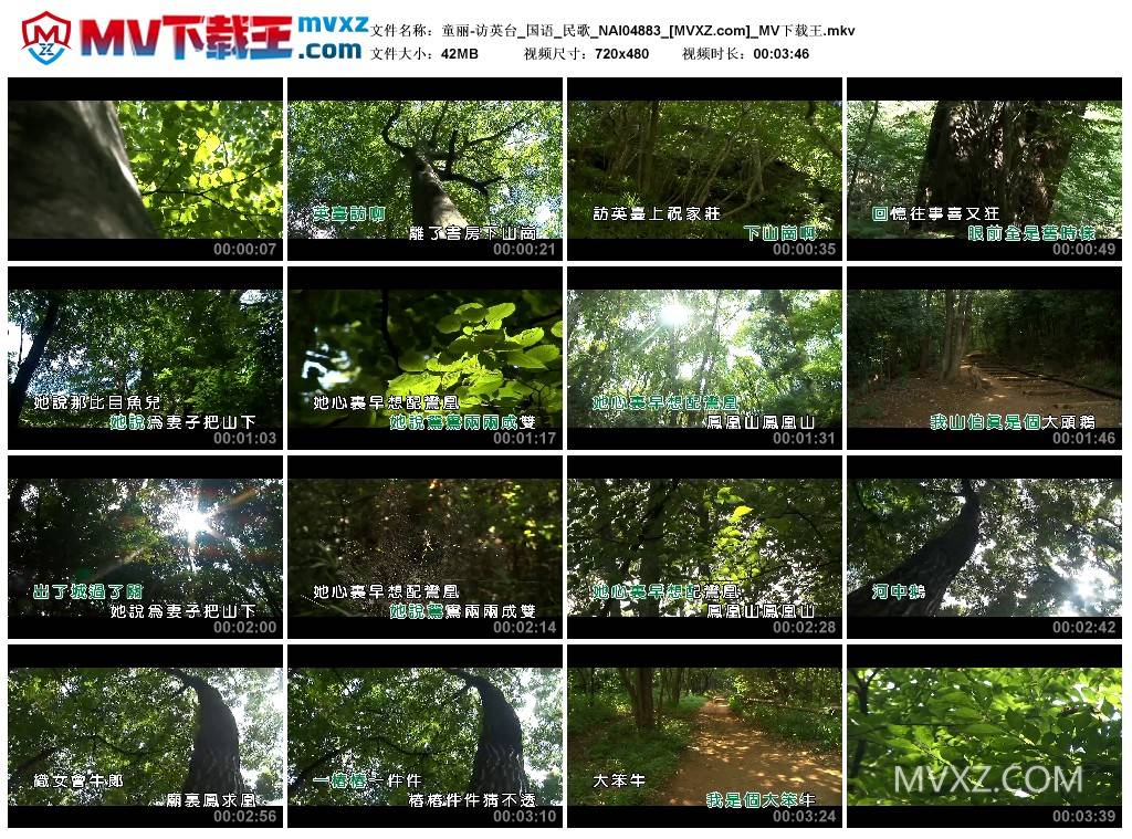 童丽-访英台_国语_民歌_NAI04883